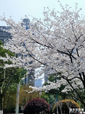 【醉春山】夜與日