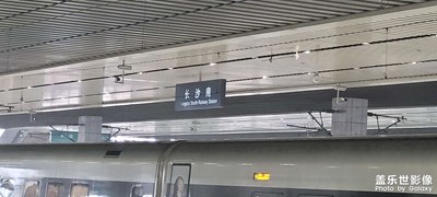三月路過的城市