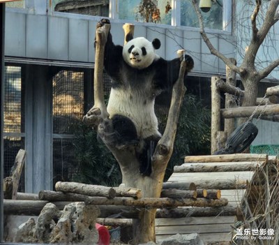 【用鏡頭丈量世界】+萌士家族