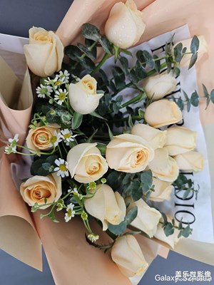 【用鏡頭丈量世界】+ 走過的路，遇到的人