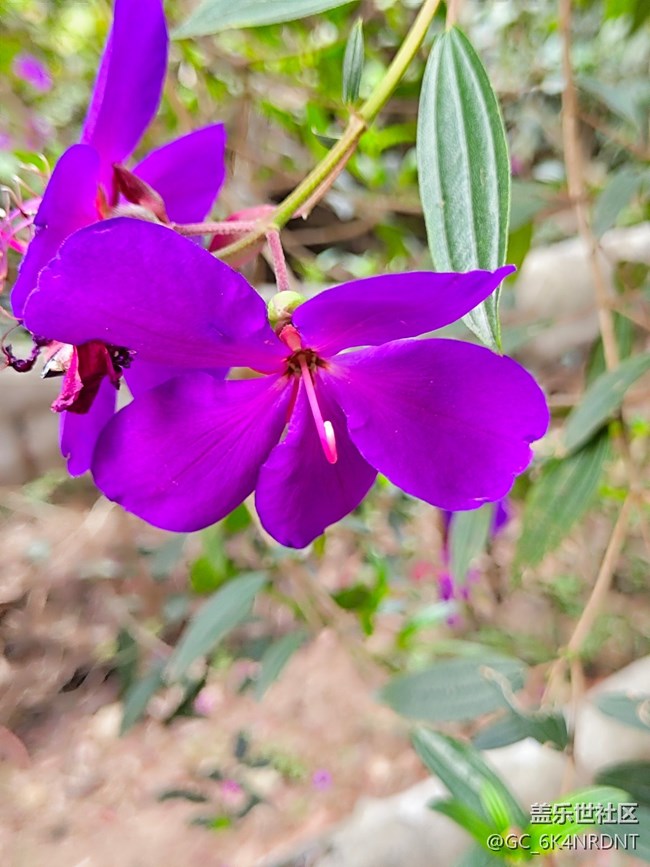 【春和景明】+登山