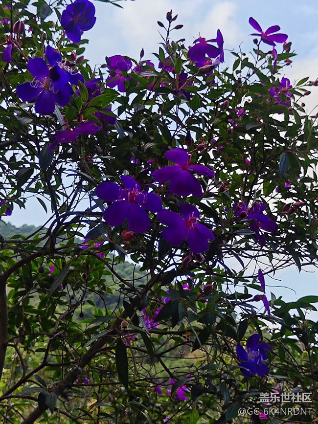 【春和景明】+登山