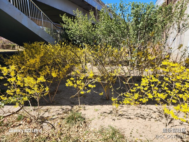 【春暖花開】室內(nèi)與室外春天的對比