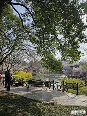 【用鏡頭丈量世界】+ 身處春天的美