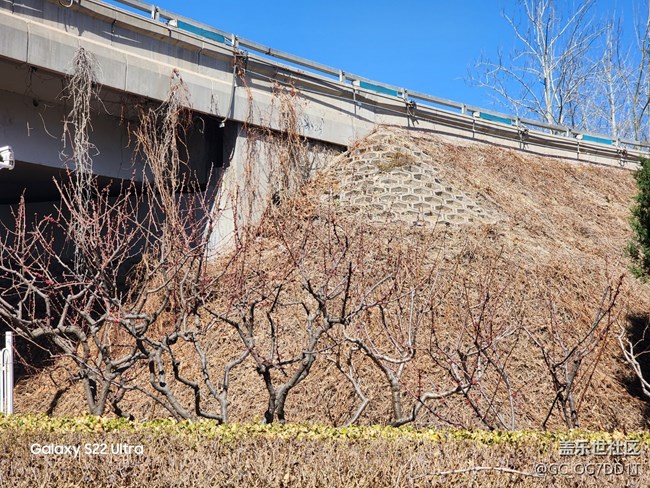 【春暖花開】室內(nèi)與室外春天的對比