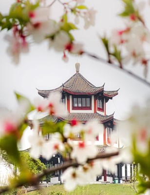 【醉春山】記錄春天色彩