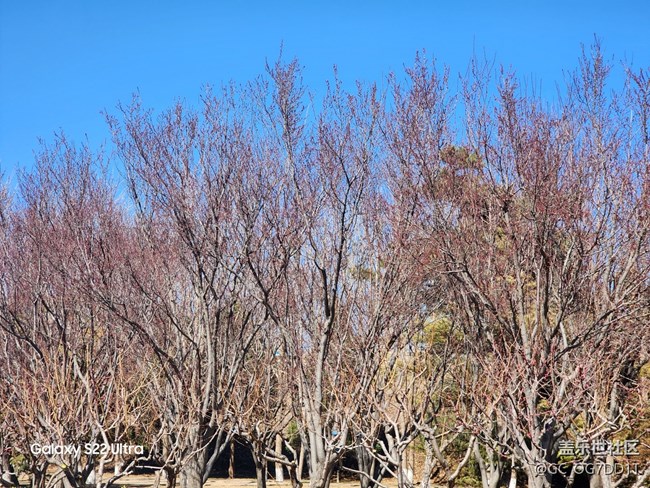 【春暖花開】室內(nèi)與室外春天的對比