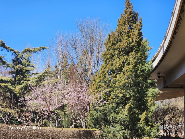 【春暖花開】室內(nèi)與室外春天的對比