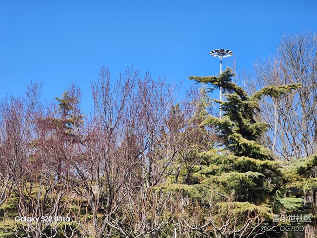 【春暖花開】室內(nèi)與室外春天的對比