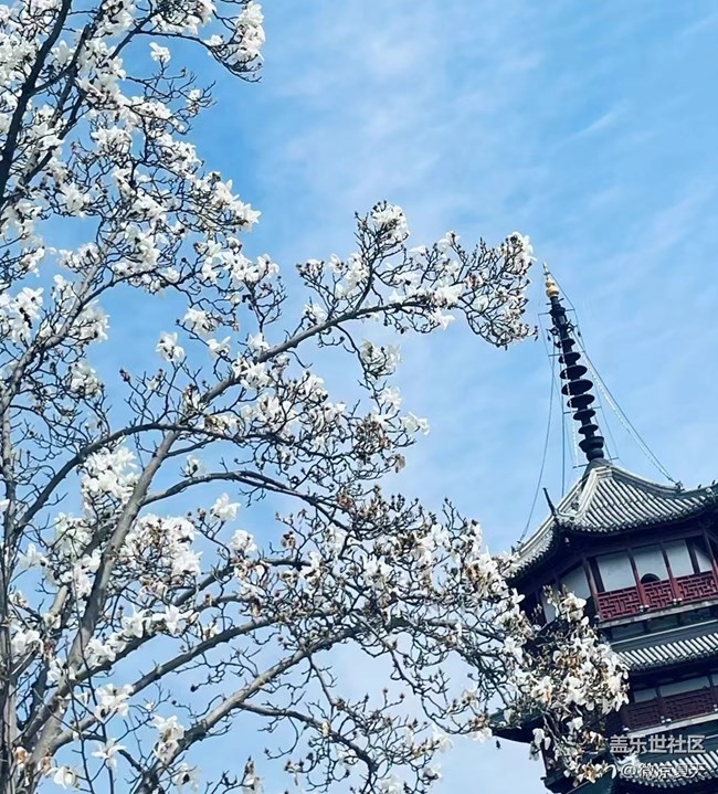 【春和景明】春日午后