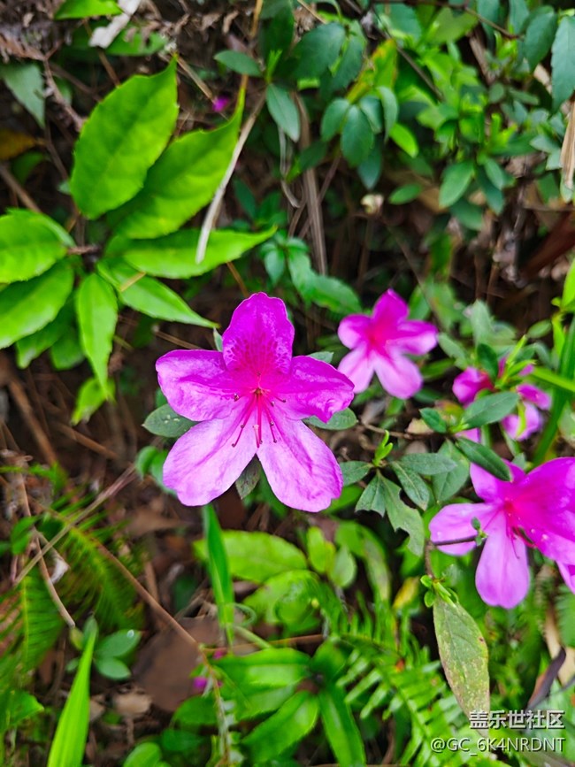 【春和景明】+登山