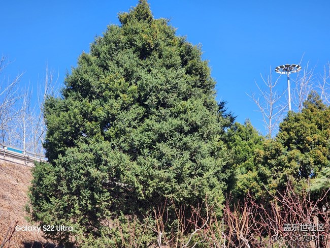【春暖花開】室內(nèi)與室外春天的對比