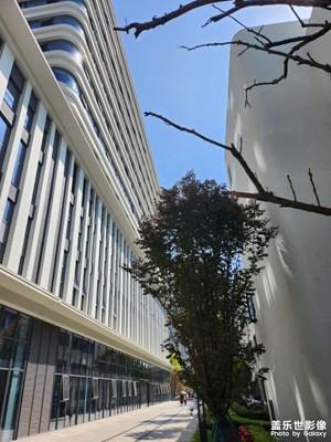 【用鏡頭丈量世界】+ 走過的路，遇到的物