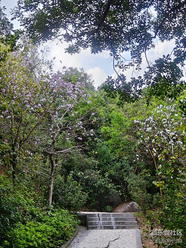 【春和景明】+羊臺(tái)山之行