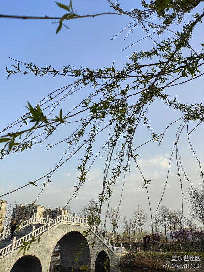 [春和景明】春天的花開了