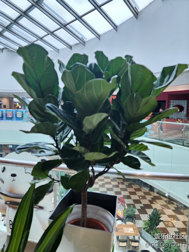 【春暖花開】室內(nèi)與室外春天的對比