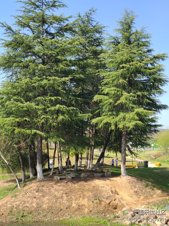 【春日元?dú)狻壳缋蚀喝? title=