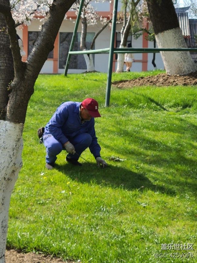 【萬物復(fù)蘇的春天】春天游玩