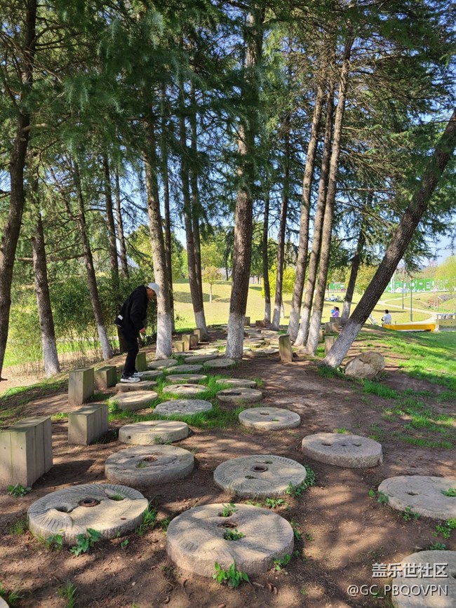 【萬物復(fù)蘇的春天】春天游玩