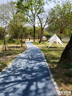 【用鏡頭丈量世界】+?散步隨手拍