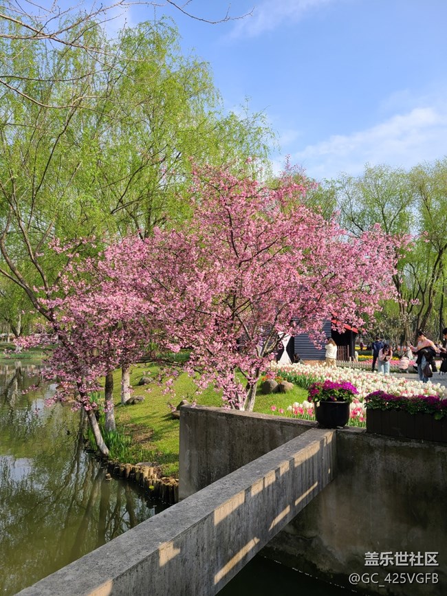 【生活中的小美好】 花開美景