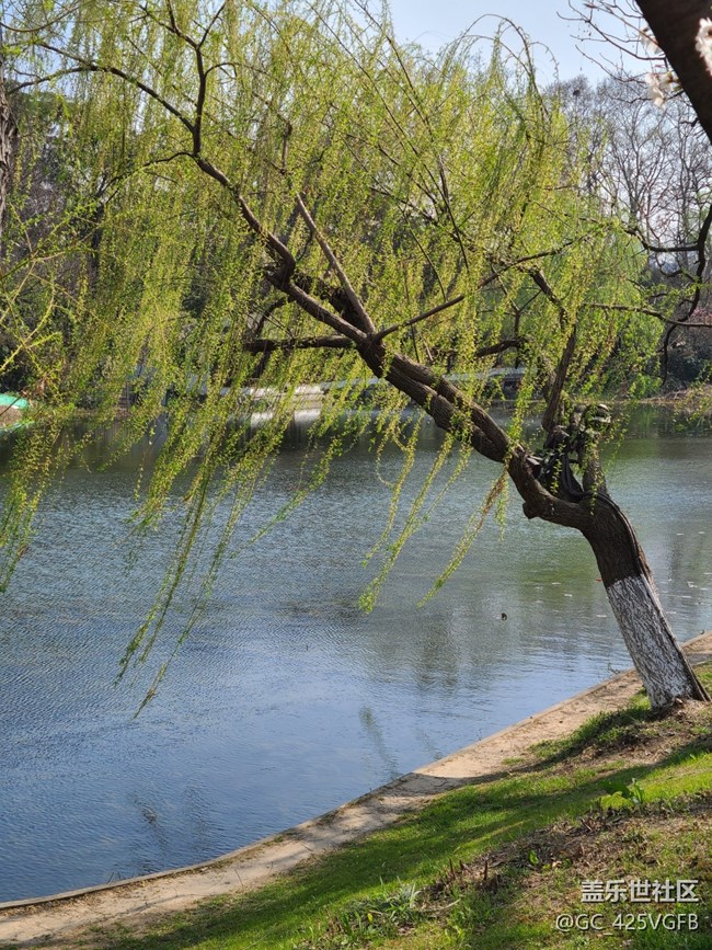 【萬物復(fù)蘇的春天】春天游玩