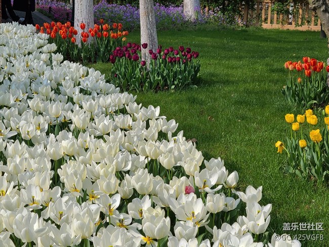 【春日元?dú)狻吭獨(dú)鉂M滿