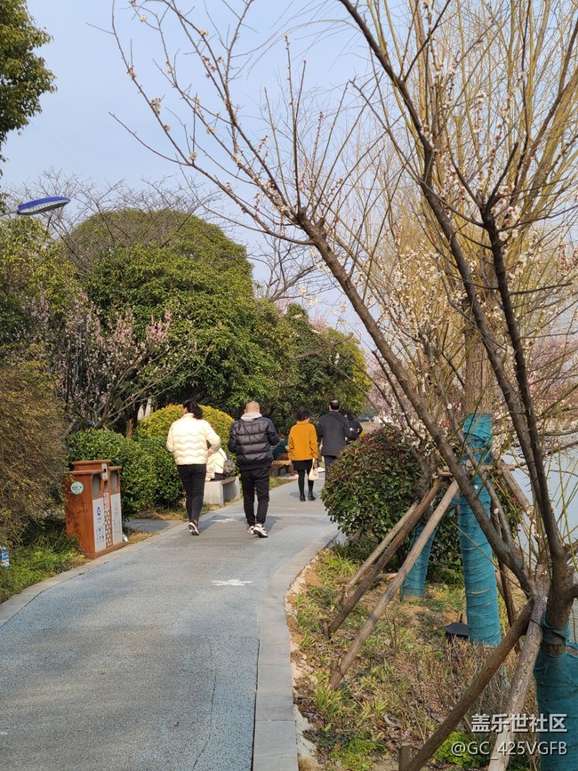 【春影留痕】早春美景