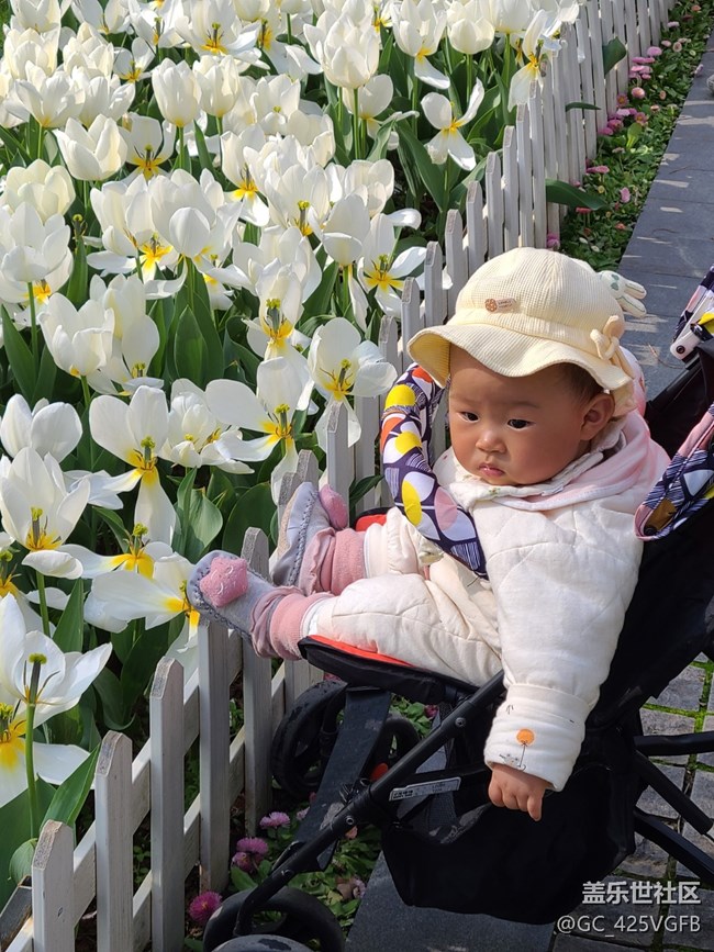 【春日元?dú)狻吭獨(dú)鉂M滿