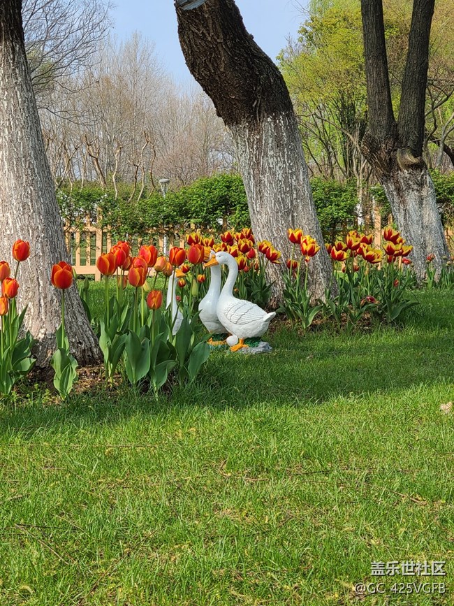 【春日元?dú)狻吭獨(dú)鉂M滿
