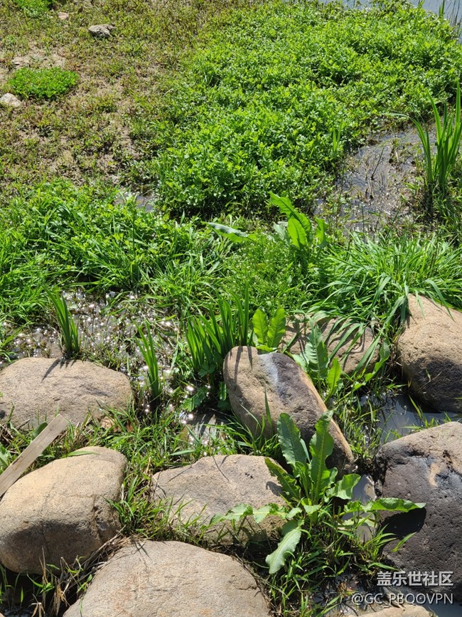 【萬物復(fù)蘇的春天】春天游玩