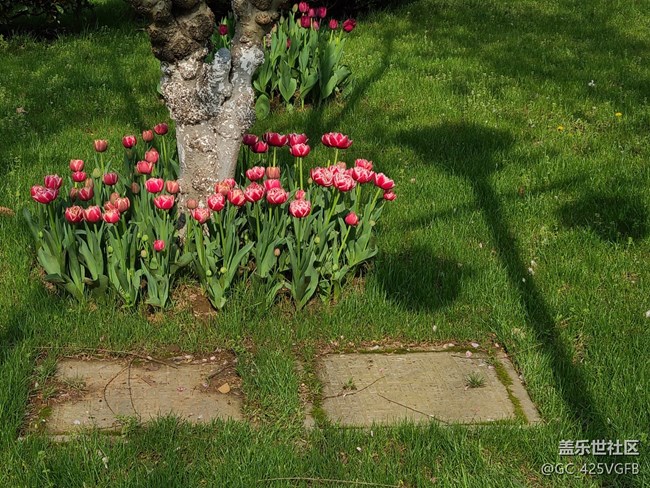 【春日元?dú)狻吭獨(dú)鉂M滿