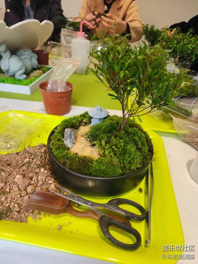 “植”此青綠——線下手工活動