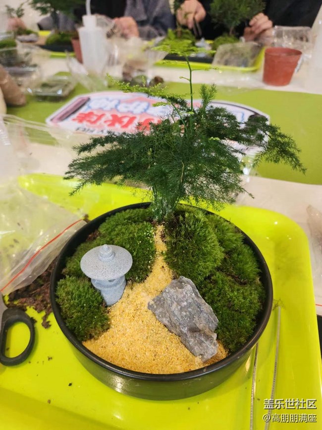 “植”此青綠——線下手工活動