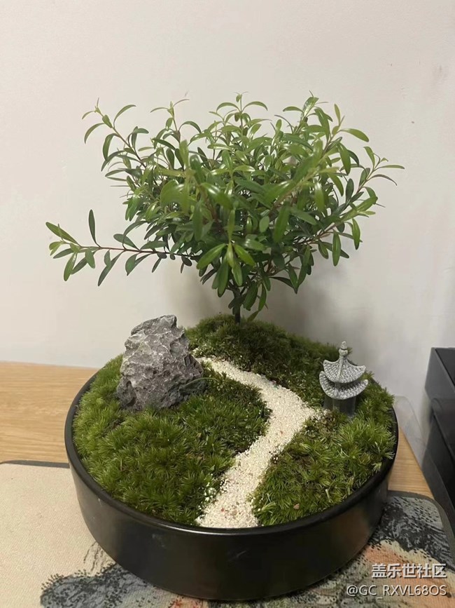 植此青綠，擁抱春天