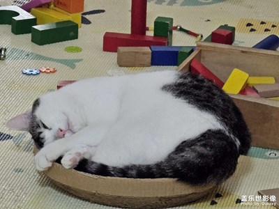 【用鏡頭丈量世界】心情與鏡頭