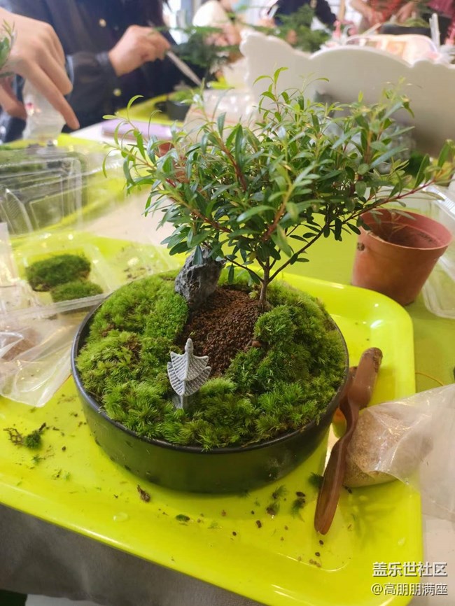 “植”此青綠——線下手工活動