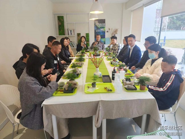 “植”此青綠——線下手工活動