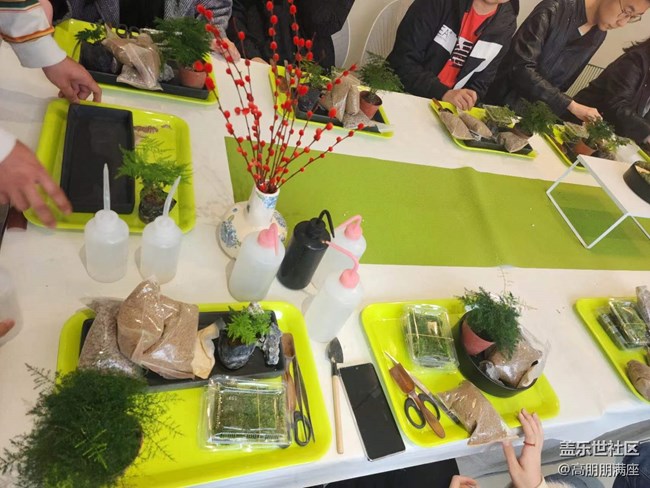 “植”此青綠——線下手工活動