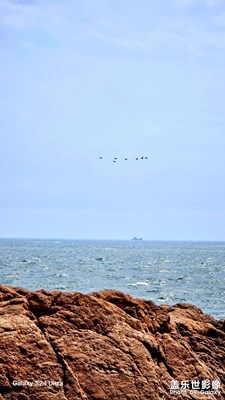 【醉春山】春天暢想