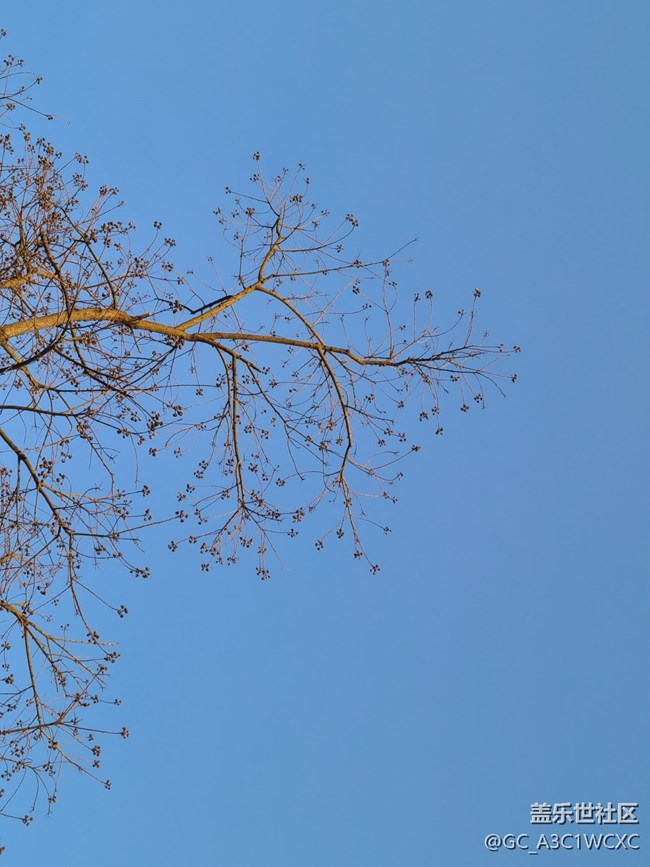 【春日元?dú)狻肯﹃栁飨? title=