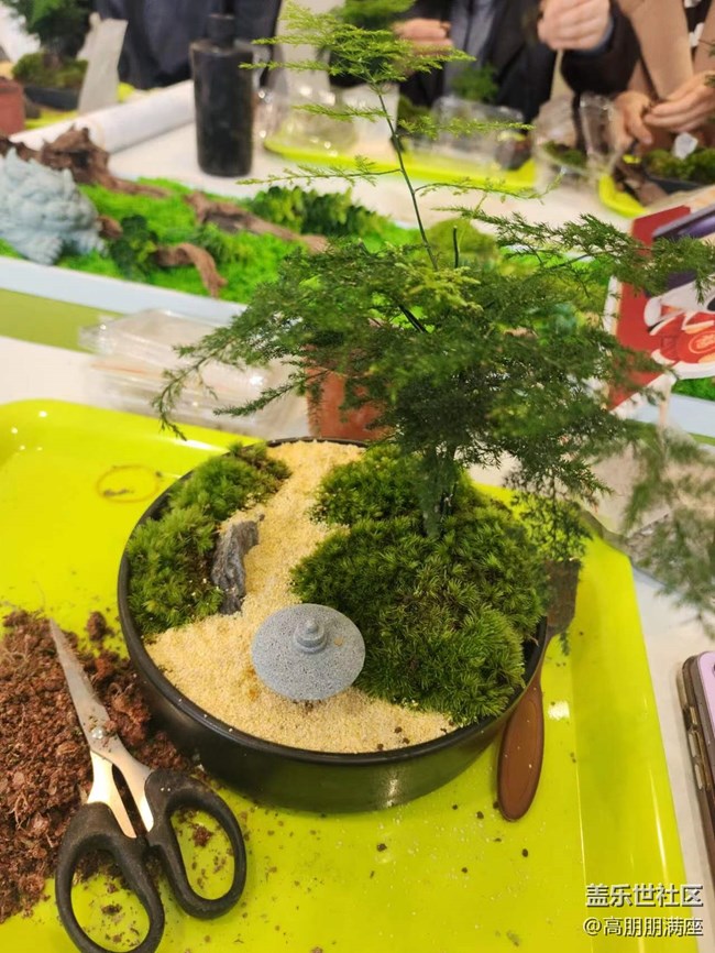 “植”此青綠——線下手工活動