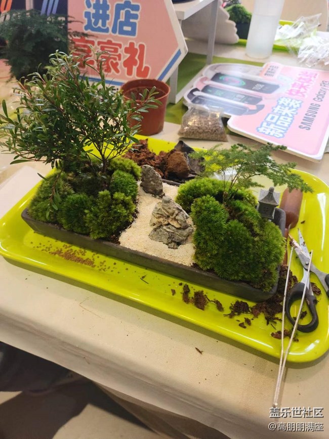 “植”此青綠——線下手工活動