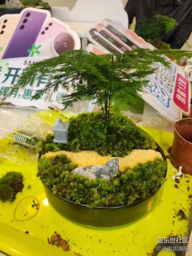 “植”此青綠——線下手工活動