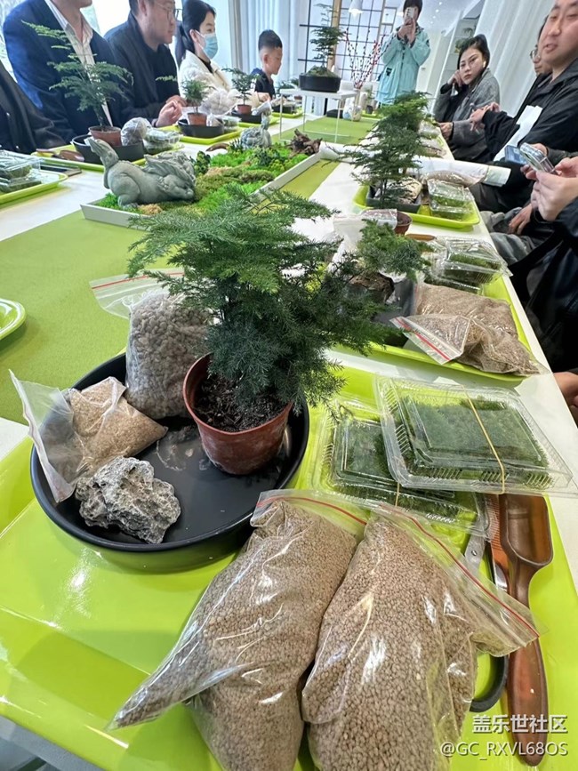 植此青綠，擁抱春天