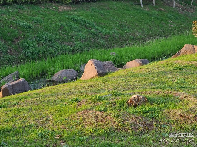 【春日元?dú)狻肯﹃栁飨? title=