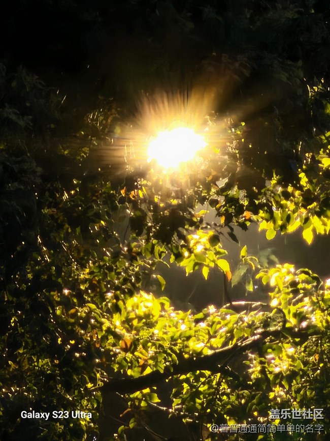 5.1版本   求助啊??！相機崩了（∩▽∩）