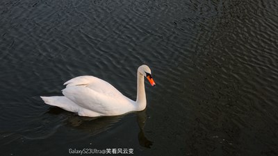 已開獎【蓋樂世影像周賽第338期】——【追光塑影】