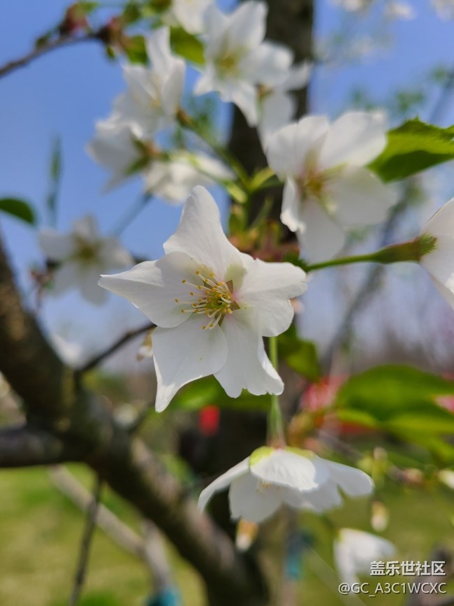 【生活中的小美好】 美好生活