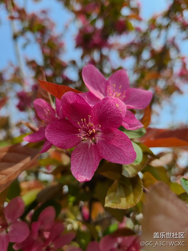【生活中的小美好】 美好生活
